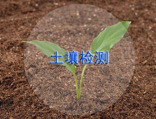 離子色譜儀可用于土壤中氟離子檢測 離子色譜儀可用于土壤中氟離子檢測