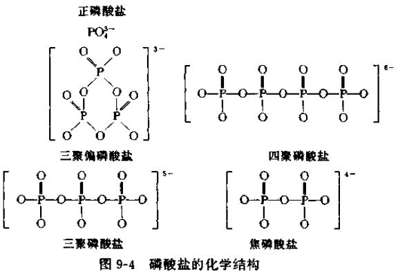 聚磷酸鹽的化學(xué)結(jié)構(gòu) 聚磷酸鹽的化學(xué)結(jié)構(gòu)