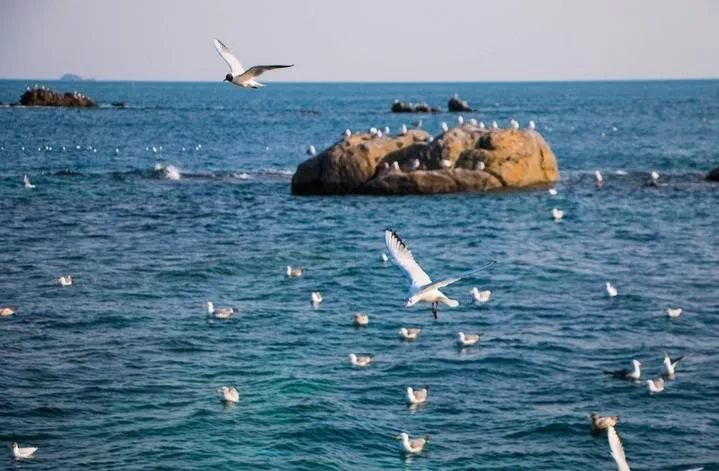 海水常規(guī)離子分析